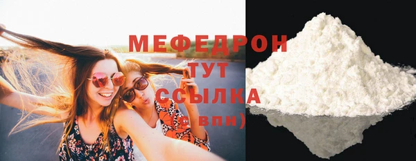 ГАЛЛЮЦИНОГЕННЫЕ ГРИБЫ Дмитриев