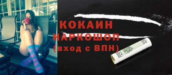 ГАЛЛЮЦИНОГЕННЫЕ ГРИБЫ Дмитриев