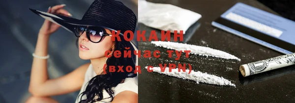 крисы Дмитровск