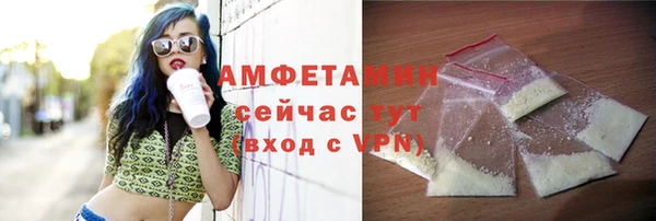 ГАЛЛЮЦИНОГЕННЫЕ ГРИБЫ Дмитриев