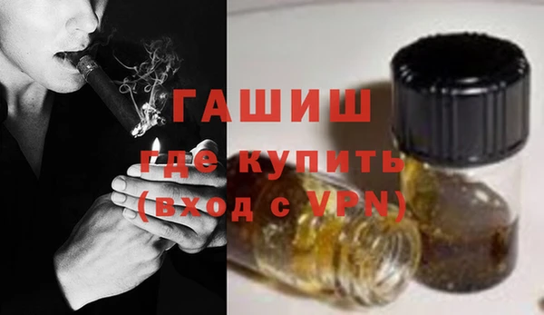 ГАЛЛЮЦИНОГЕННЫЕ ГРИБЫ Дмитриев