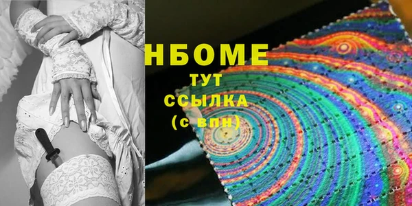 ГАЛЛЮЦИНОГЕННЫЕ ГРИБЫ Дмитриев