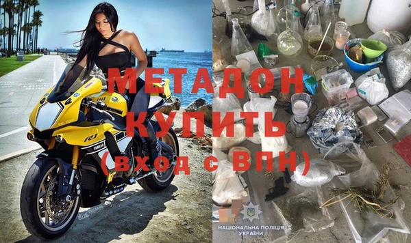 ГАЛЛЮЦИНОГЕННЫЕ ГРИБЫ Дмитриев