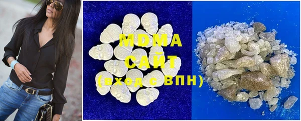 ГАЛЛЮЦИНОГЕННЫЕ ГРИБЫ Дмитриев