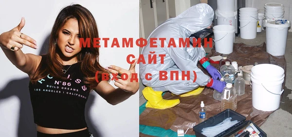 ГАЛЛЮЦИНОГЕННЫЕ ГРИБЫ Дмитриев