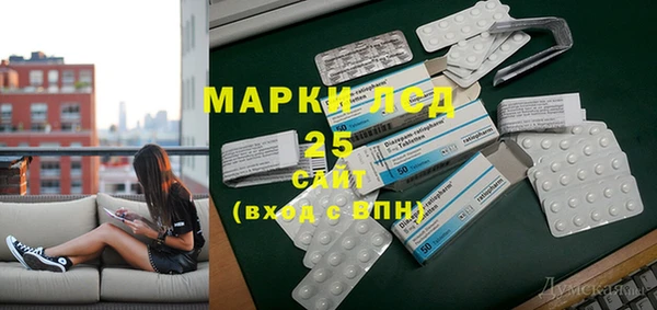 ГАЛЛЮЦИНОГЕННЫЕ ГРИБЫ Дмитриев