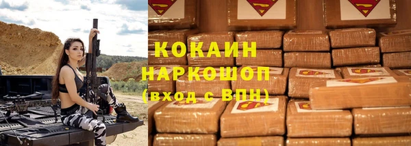 ГАЛЛЮЦИНОГЕННЫЕ ГРИБЫ Дмитриев