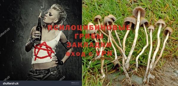 бутик Дмитров