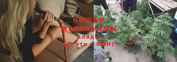 крисы Дмитровск