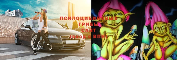 крисы Дмитровск