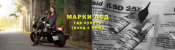 ГАЛЛЮЦИНОГЕННЫЕ ГРИБЫ Дмитриев