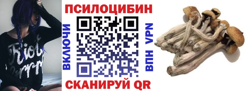 Галлюциногенные грибы прущие грибы  Купить закладки  Ростов 